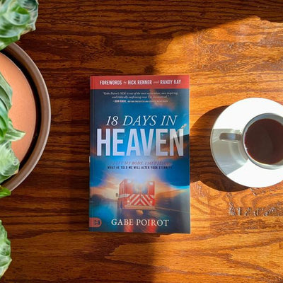 18 Days in Heaven by Gabe Poirot